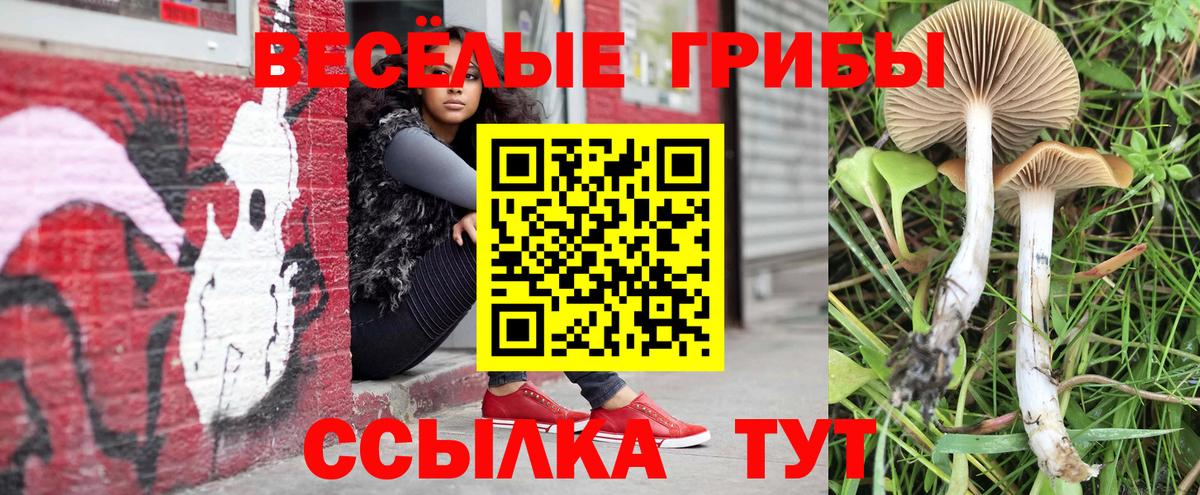 Псилоцибиновые грибы мицелий Миллерово